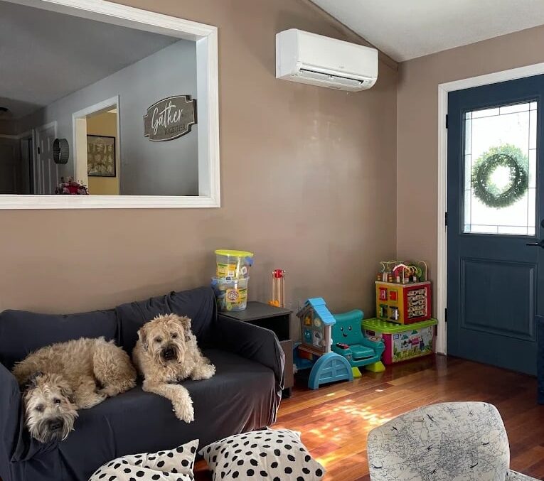 Mini-Split Heat Pump wall unit in living room